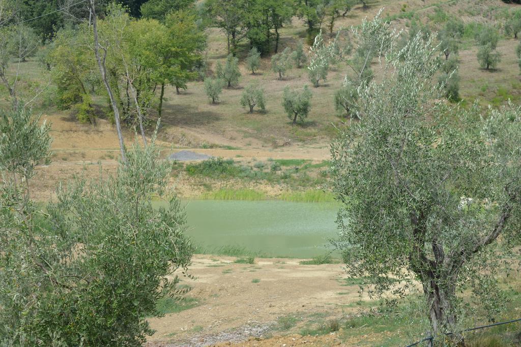 Podere Delle Fanciulle Pistoia Kültér fotó