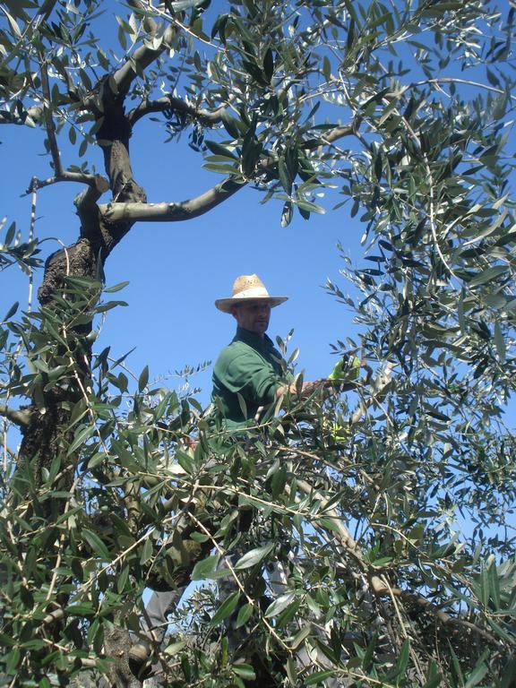 Podere Delle Fanciulle Pistoia Kültér fotó