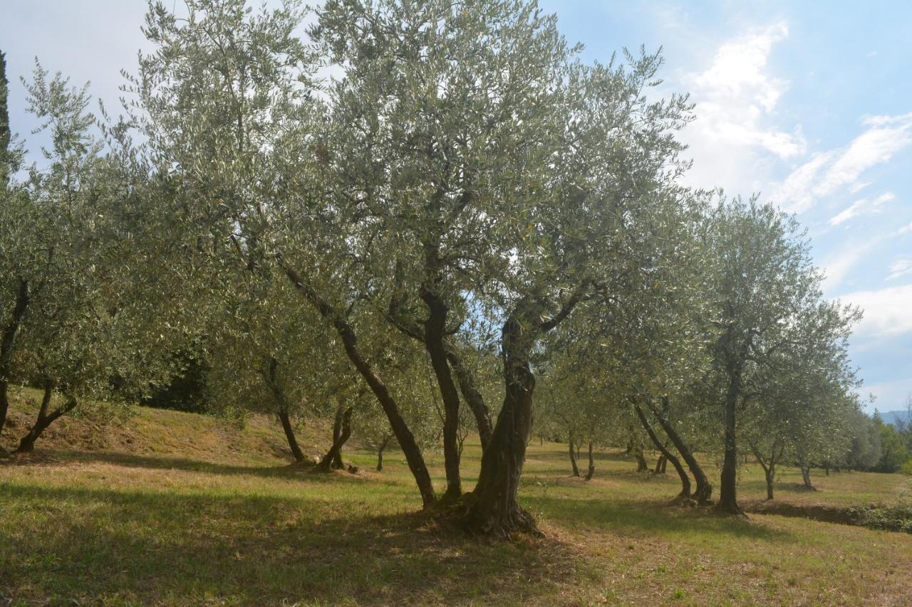 Podere Delle Fanciulle Pistoia Kültér fotó
